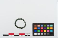 Foto von Bronzering (NHMW-PRAE-024278)
